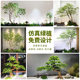 Mazuimu simulated green implanted into the plant landscaping of the entrance hall