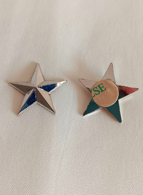金色立体五角星奖牌背胶粘贴