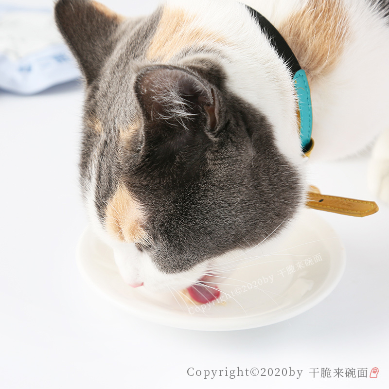 尾巴生活猫二胖吸肉酱营养猫条零食 FURRYTAIL猫咪鲜湿粮4包 - 图3