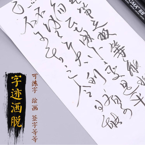 日本樱花秀丽笔软笔美术专用硬笔软笔书法练字漫画手绘自带笔锋的笔新仿毛笔大楷中楷小楷字软头勾线笔签名笔 - 图1