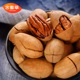 Mimosa Exotic Zhenguo Biging Fruit 80G сушено