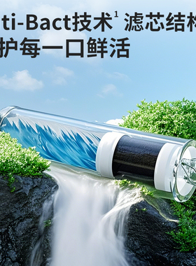 统帅鲜活水净水器800G双出水