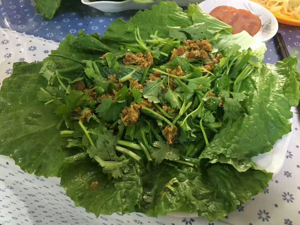 东北新鲜白菜叶子饭包叶大白菜叶蔬菜白菜叶蘸酱菜包邮顺丰-图0