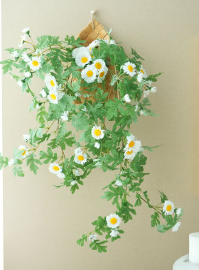 北欧风小雏菊仿真花藤蔓壁挂装饰