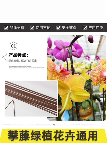 蝴蝶兰花支架兰夹子支撑杆植物爬藤花卉固定专用花支架园艺兰花夹 - 图2