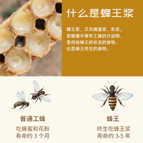 蜜露甘泉蜂王浆冻干粉片60片蜂皇浆日常食用蜂产品30g蜂之精华 - 图0