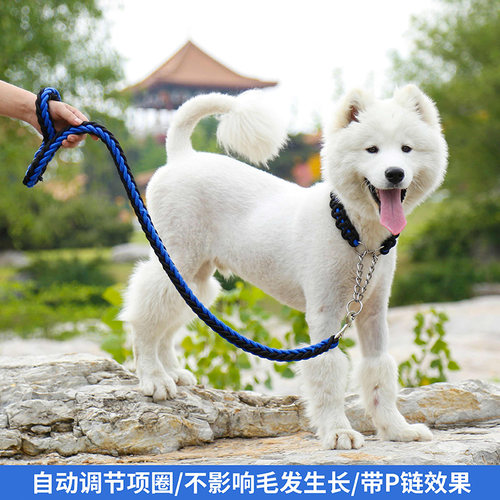 萨摩耶牵引绳大型犬金毛拉布拉多中型犬法斗项圈伸缩狗链遛狗神器-图1