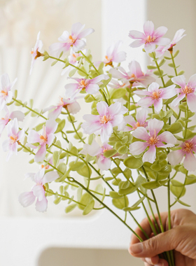 小雏菊仿真花餐桌花束田园野菊花