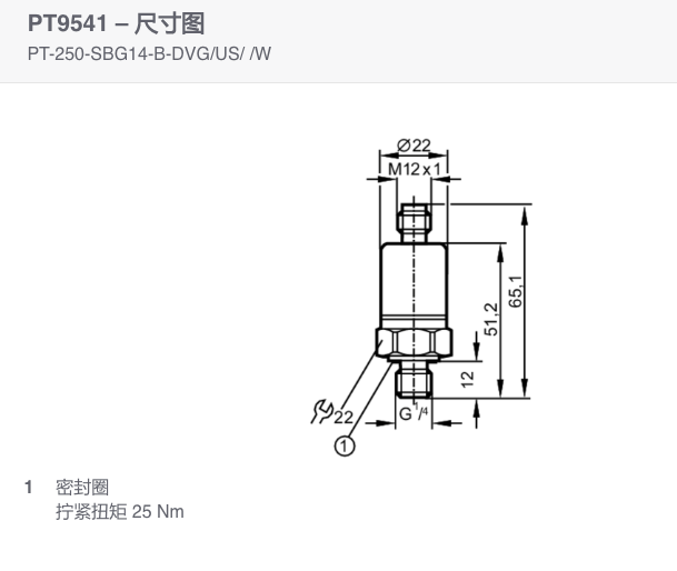 现货IFM易福门压力变送器PT9541 PT-250-SBG14-B-DVG/US//W传感器 - 图1