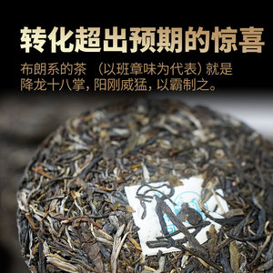 可步茶叶 7系班章400年古树普洱茶 2023年头春老班章+坝卡囡200g