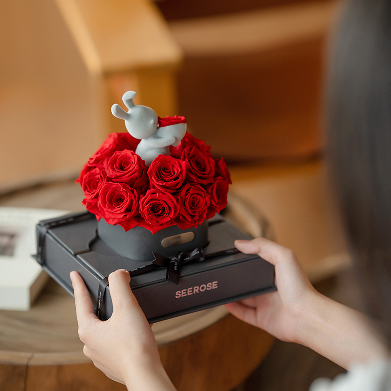 SEEROSE西罗斯抱抱桶熊兔永生花19朵保鲜玫瑰女朋友520情人节礼物 - 图0