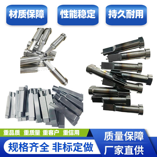 A冲常规T冲五金模具冲针冲头SKH51 SKD11 SKH9非标定制各类冲针 - 图0
