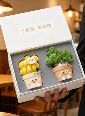 卡通可爱树脂多肉桌面摆件礼盒