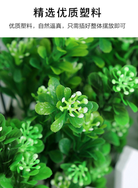 【HOT单品】米兰草实木栅栏套装