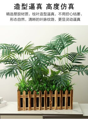 【热卖单品】加宽加高仿真绿植