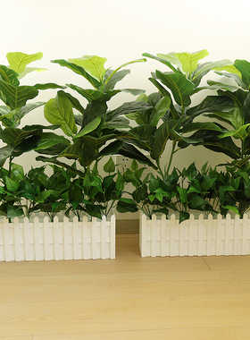 【热卖单品】加宽加高绿植套装