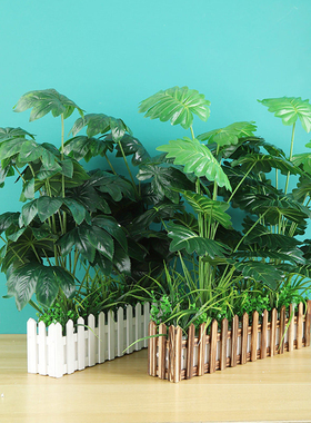 【热卖单品】加高绿植组合装饰