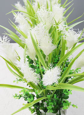 【热卖单品】芦苇雏菊遮挡盆栽花