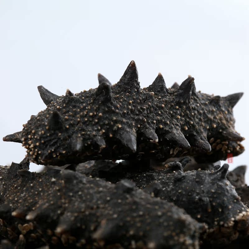 宁鲜参海鲜店淡干海参野生大连刺参辽海参50g非即食鲜活海参干货特价海参1