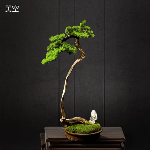 Mikong 251/Сплошное дерево