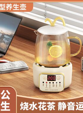小型养生壶办公室煮茶壶迷你全自动煮茶器多功能小巧mini一人新款