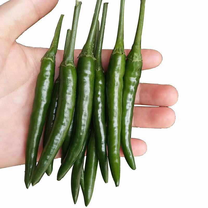 小米辣椒新鲜批发农家自种青辣椒新鲜指朝天椒蔬菜泡椒特辣青椒5_虎窝淘