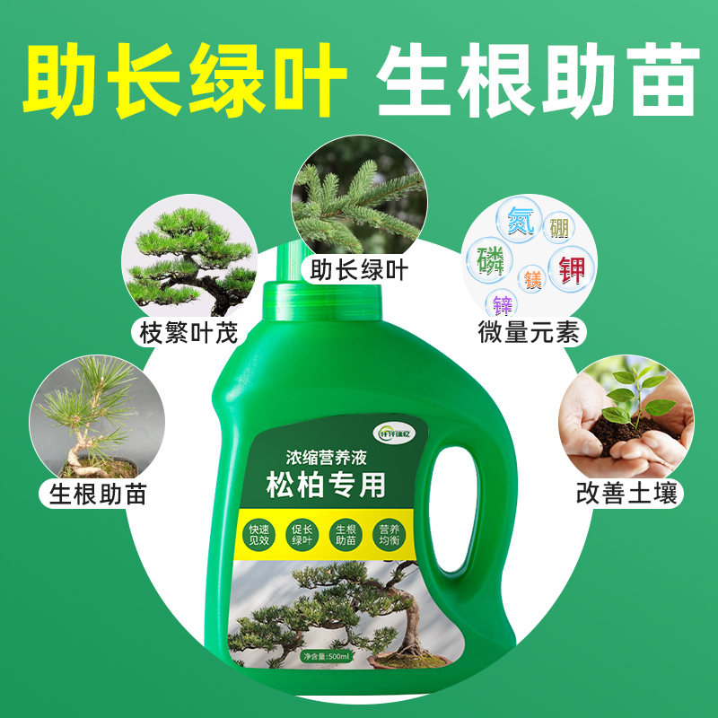 松树专用肥松柏肥料罗汉松营养液迎客松绿植盆栽盆景植物复合园艺-图1