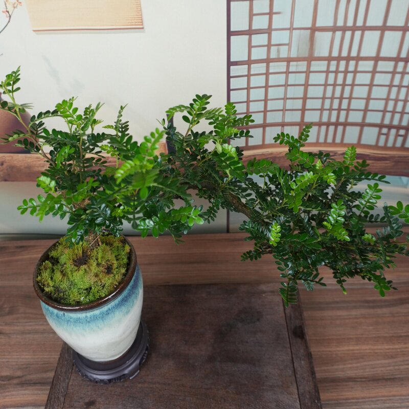 图3