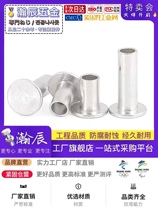 GB875 large flat head half hollow rivet iron plated nickel flat round head large cap rivet iron rivet M5M6