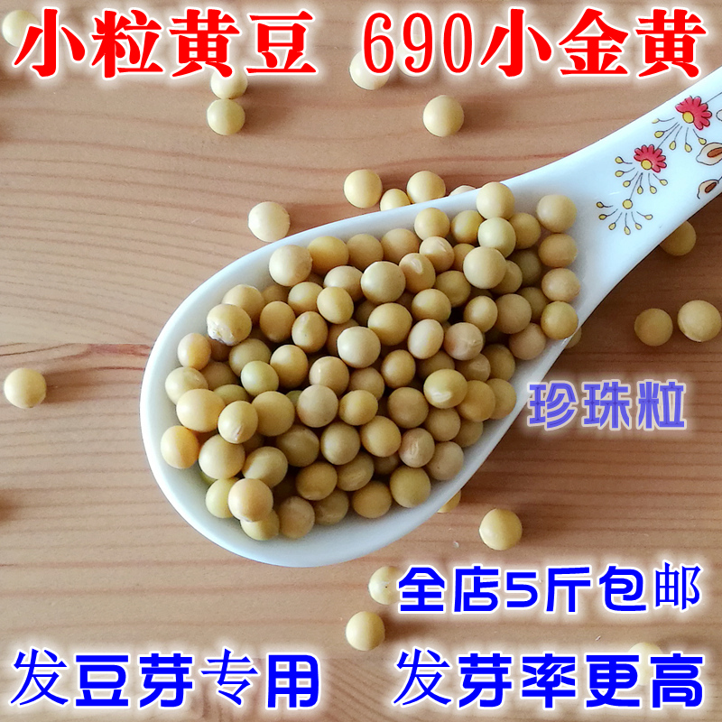 农家自种发豆芽黄豆生黄豆芽豆5专用黄豆2斤纳豆690珍珠粒1小金黄 - 图0