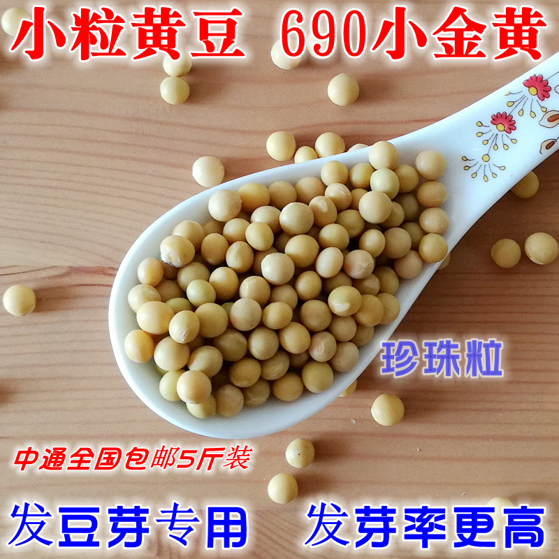 新货发豆芽黄豆生黄豆芽豆专用黄豆纳豆 5斤2东北农家自种690小粒-图0