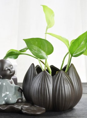 绿萝水培花瓶容器植物客厅小摆件