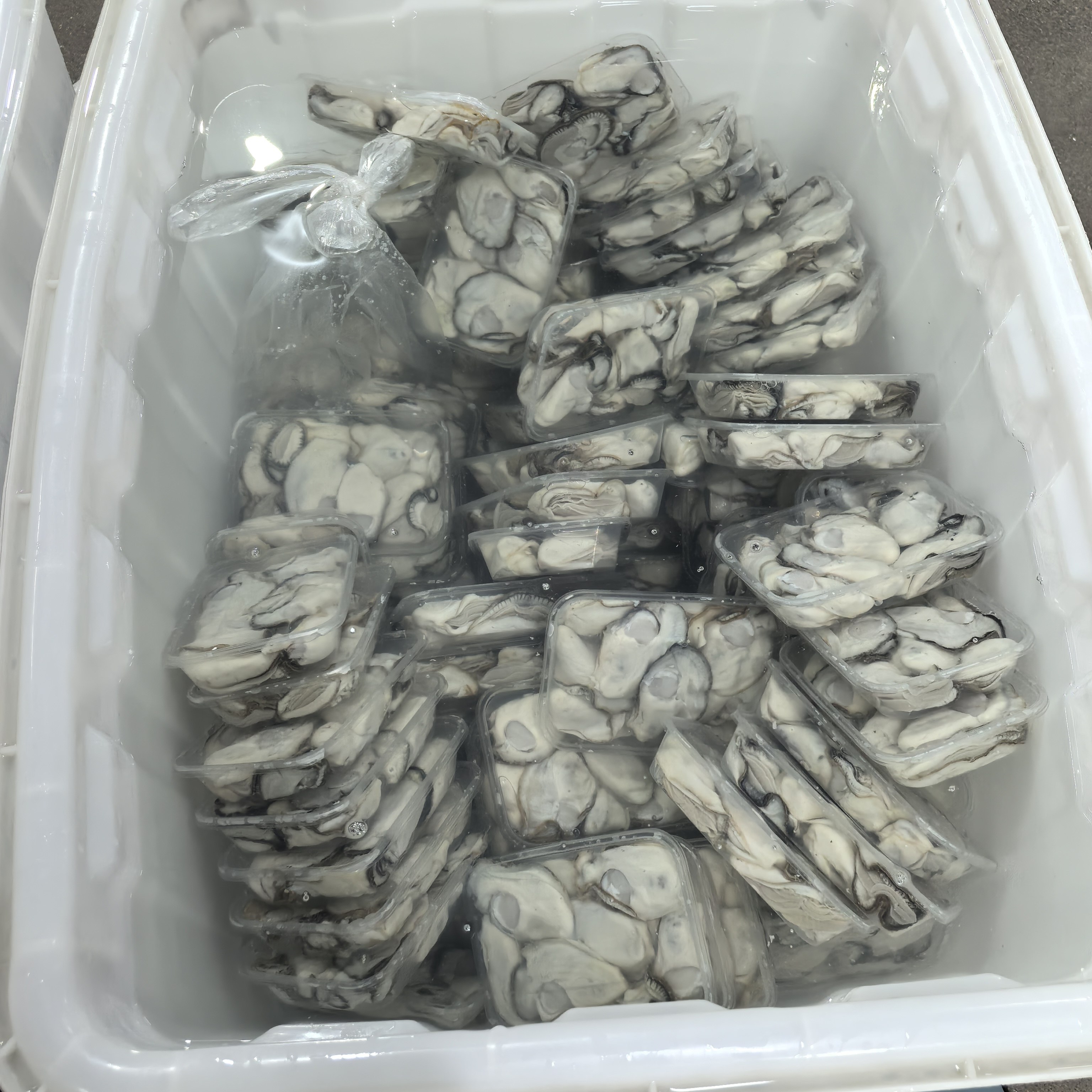 新鲜生蚝肉500g现剥乳山海蛎子鲜活海鲜水产冷冻去壳牡蛎肉,淘宝优惠券,粉丝福利购,淘宝优惠卷