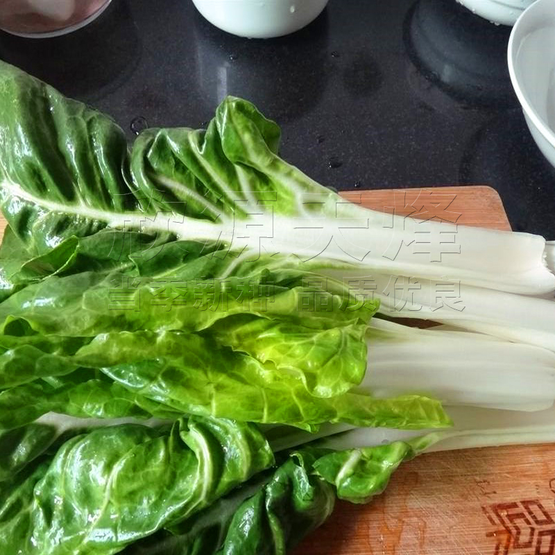 厚皮菜种子春季秋冬季阳台盆栽耐寒四季根达菜牛皮菜猪婆菜种籽孑-图2