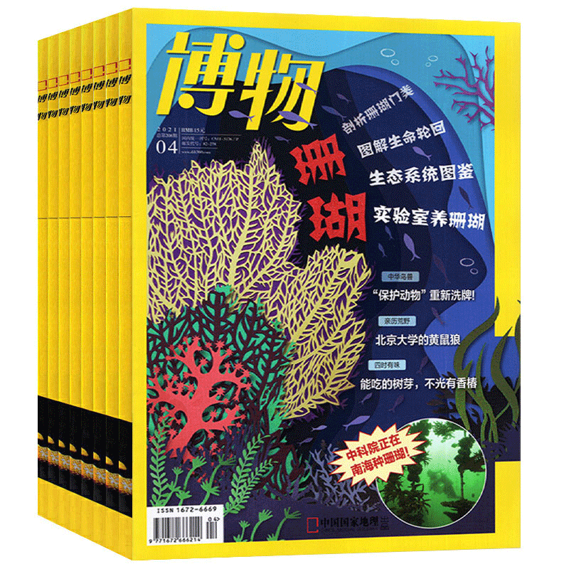 【订阅 共12期 期期快递】博物杂志 2024年全年杂志订阅 共12期 杂志订阅 中国国家地理青少年版博物君式科普百科全书期刊杂志 - 图3