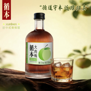 【百年糊涂】循本12度鲜果浸泡青梅酒300ml