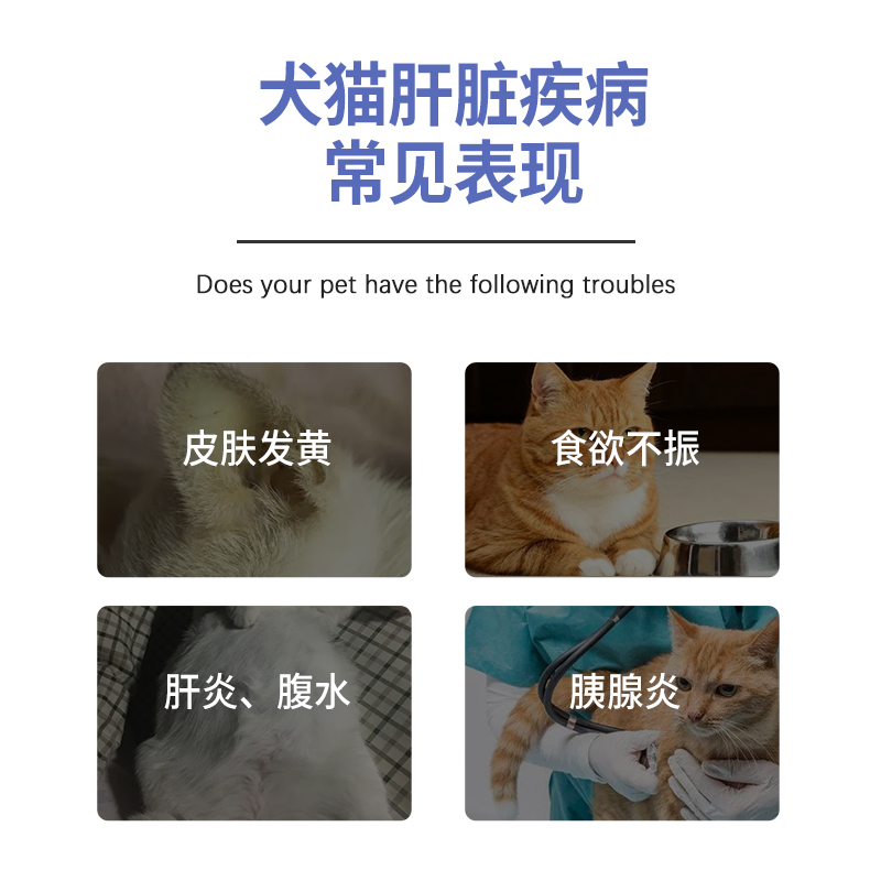 球球肝胰舒咀嚼肉粒宠物猫狗狗肝胆胰腺炎黄疸腹水保肝护肝去泪痕 - 图0