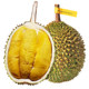 Malaysian Musang King Durian