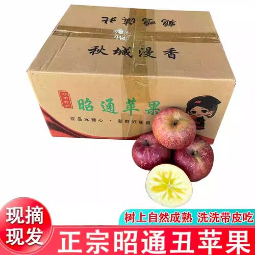 云南昭通冰糖心丑苹果当季新鲜水果甜脆多汁同城包邮现摘现发带皮 - 图3