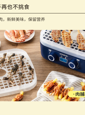 适用美规食物脱水肉干110V烘干