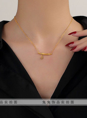 【钛钢不掉色】轻奢D福同款富贵竹节节高升闺蜜高级锁骨链项链女