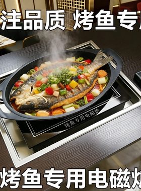 烤鱼烤肉电磁炉电陶炉长方形鱼炉