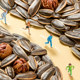 Great melon seeds, caramel flavored pecans and sunflower seeds