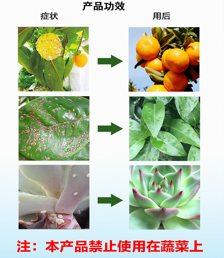 坪安螺虫乙酯狂杀介壳虫柑橘蚧多肉介杀虫剂虫卵双杀月季蔬菜农药 - 图2