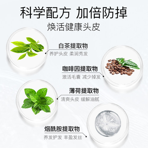 NIOXIN丽康丝洗发水2号无硅油防掉发清爽控油去油蓬松去屑300ml - 图2