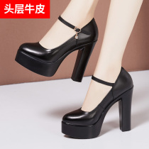 Australian Manlene Genuine Leather Soft Leather 13cm Pointed Coarse Heel Black Model Qipao Walk Show High Heels Female Small Code 3233 Yard