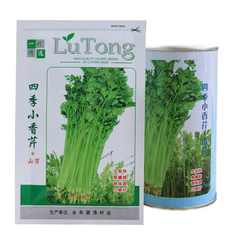春秋四季小香芹种子寿光蔬菜山芹种子家庭菜园艺栽培大面积种植 - 图2
