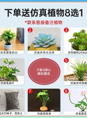 衡艺木质底座磁悬浮盆栽摆件