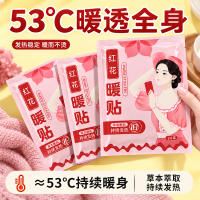 工厂直销红花自发热暖贴10贴
