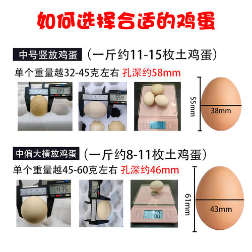 珍珠棉鸡蛋托30/50/60/100枚快递防震泡沫箱土鸡蛋包装盒防碎礼盒 - 图0